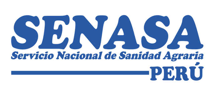 Diseño sin título - 2025-12-12T121849.903